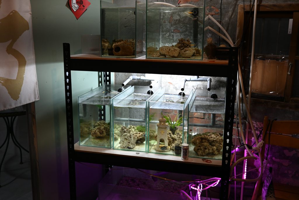【台北文山】小聚苑 藏身高樓中的老宅咖啡廳|懷舊紅磚三合院|走進巷口、穿越時空，來場不限時的相聚|動物友善空間