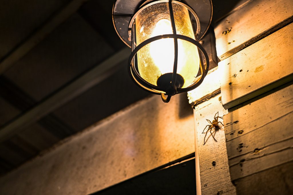 【台北文山】生活在他方-夜貓店|體驗貓空夜生活|貓空深夜咖啡廳、寵物友善餐廳、繪本書店|超高水準千層蛋糕、眷村乾拌麵|俯視臺北盆地夜景