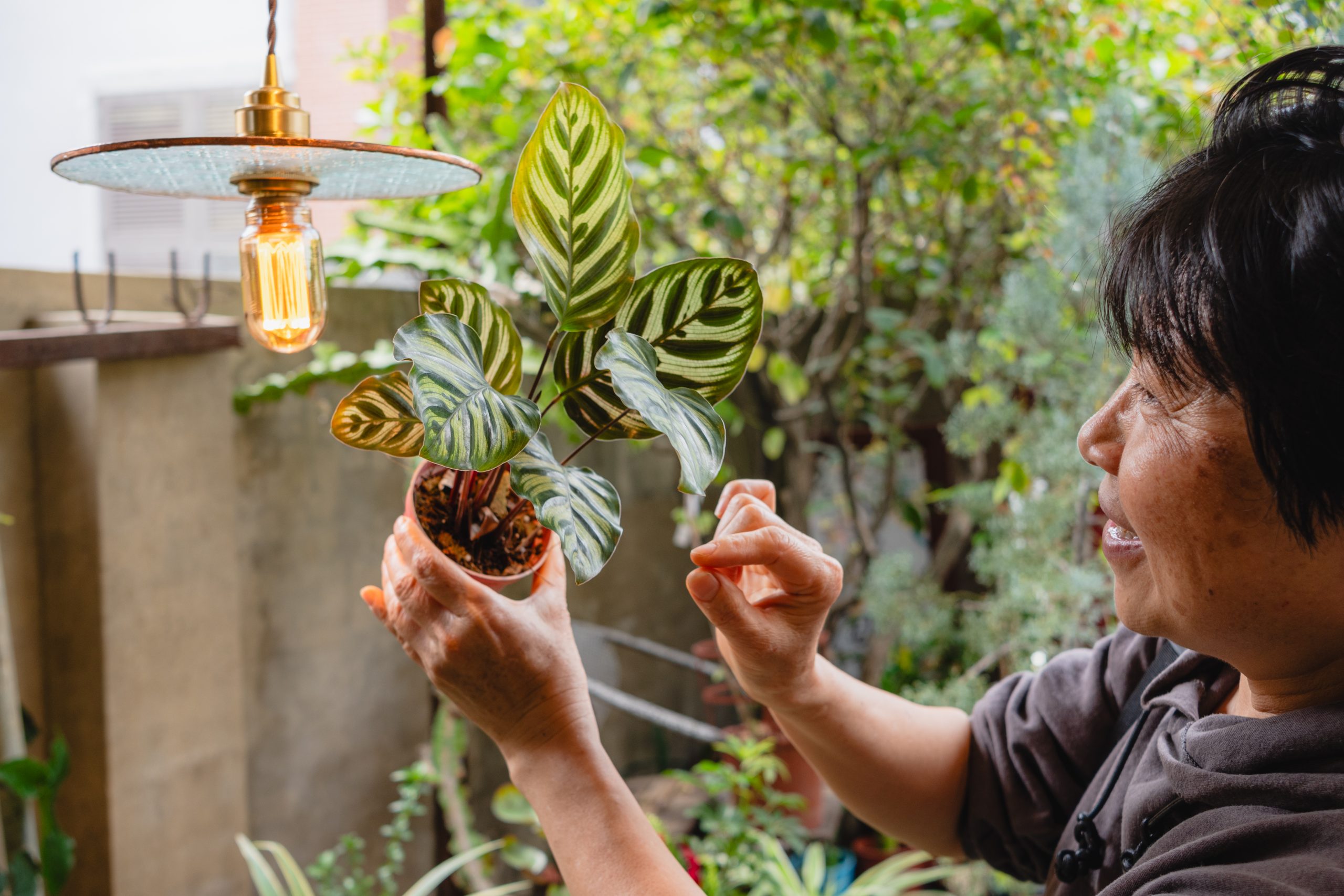 台南安平】植得其所園藝盆藝室｜最療癒的植栽盆器店，結合設計感與自然